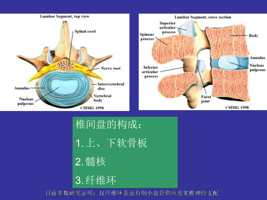 医学精品课件：07.腰腿痛和颈肩痛2017.04柯珍勇.ppt_第3页