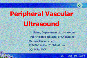 医学精品课件：12.3周围血管疾病超声诊断-英文 刘丽萍.pptx