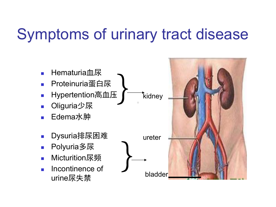 医学精品课件：10.1AGN.ppt_第3页