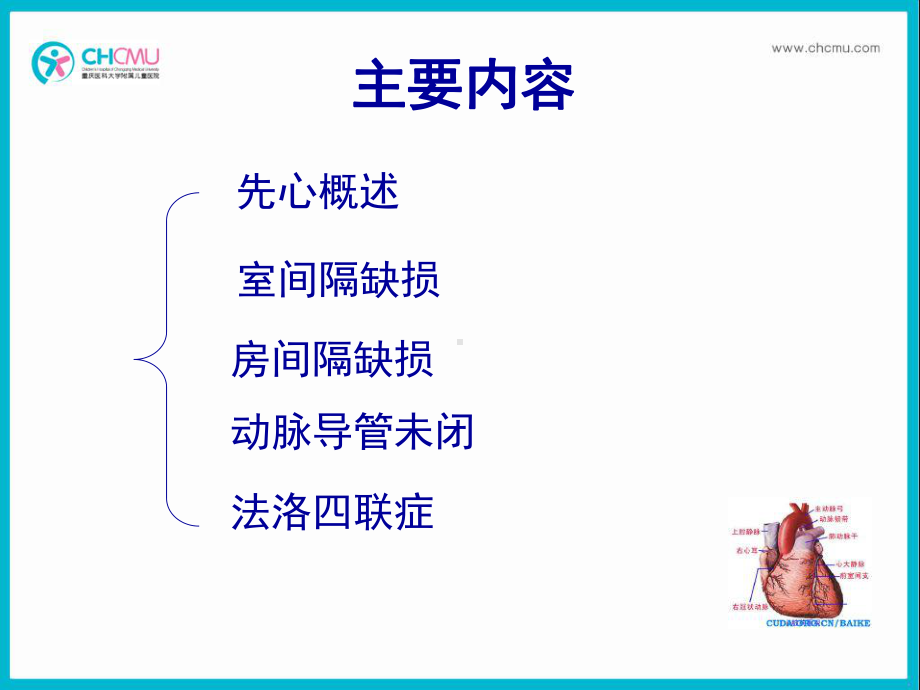 医学精品课件：9.1先天性心脏病医学系3学时.ppt_第2页