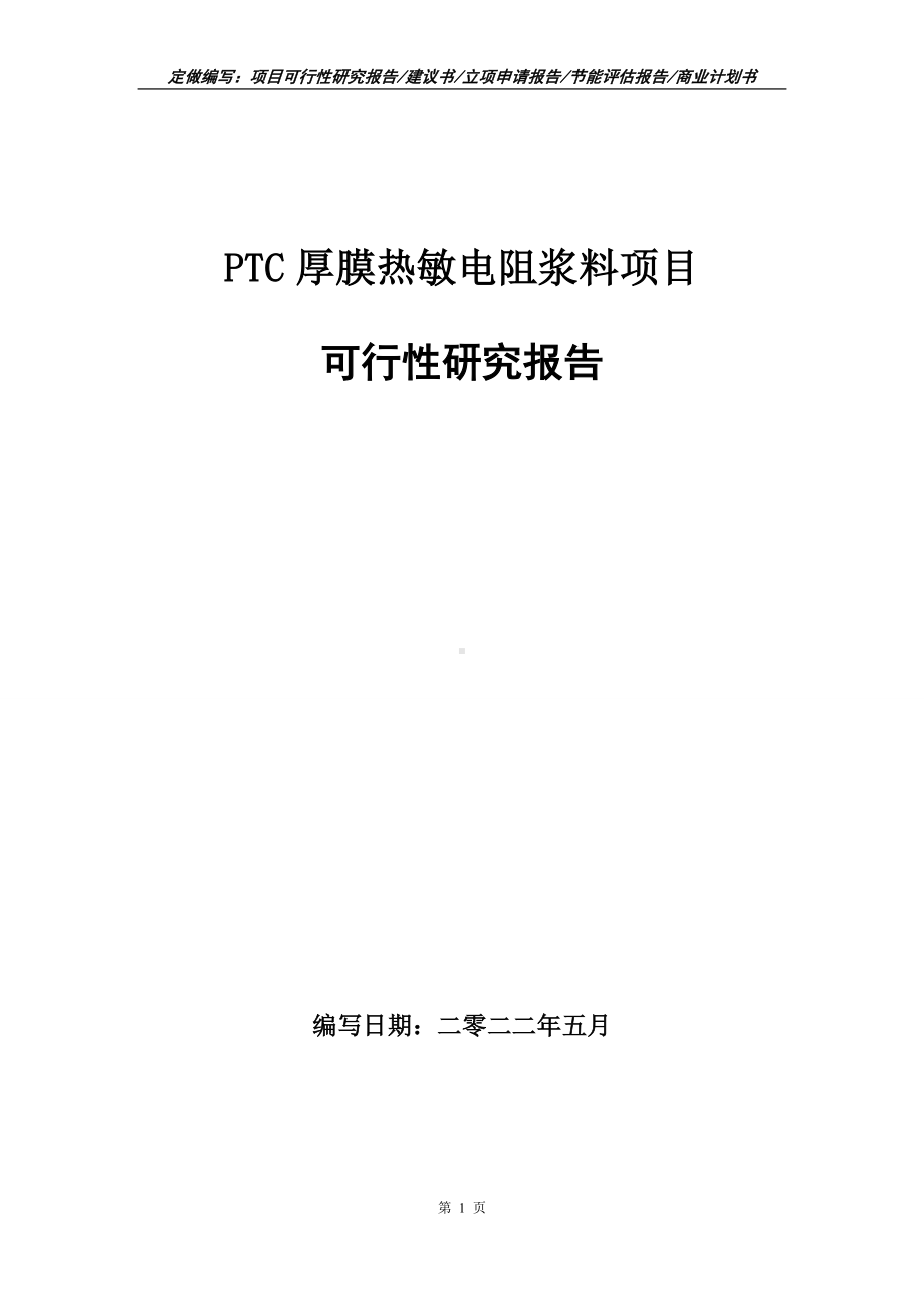 PTC厚膜热敏电阻浆料项目可行性报告（写作模板）.doc_第1页