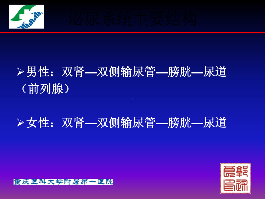 医学精品课件：13.3泌尿系统疾病超声诊断1课时.pptx_第2页