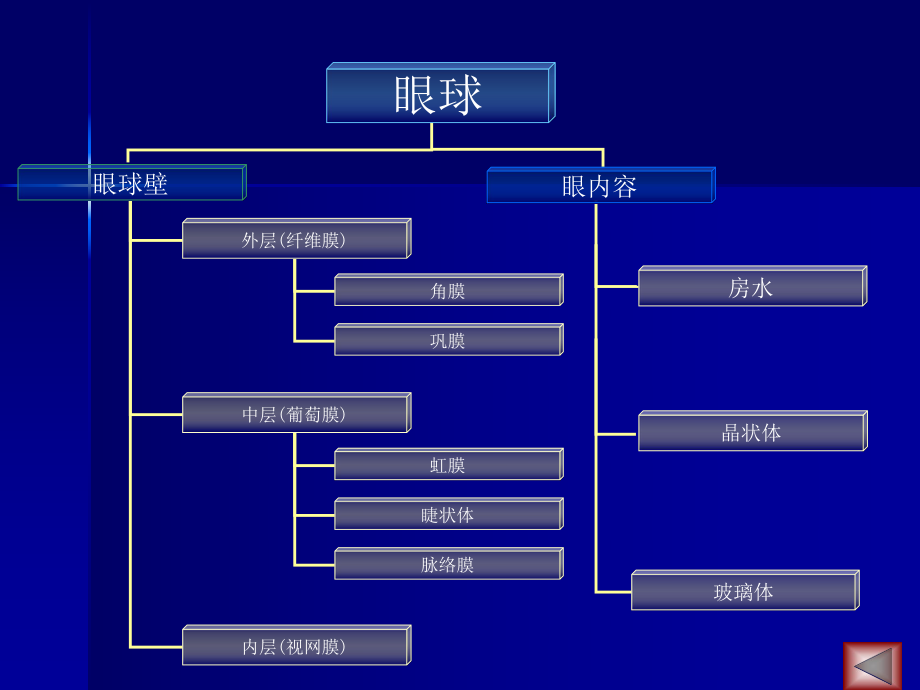 医学精品课件：02眼的解剖眼科检查.ppt_第3页