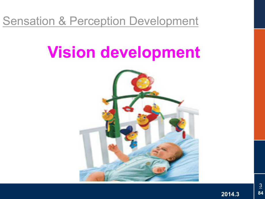 医学精品课件：03 development.ppt_第3页