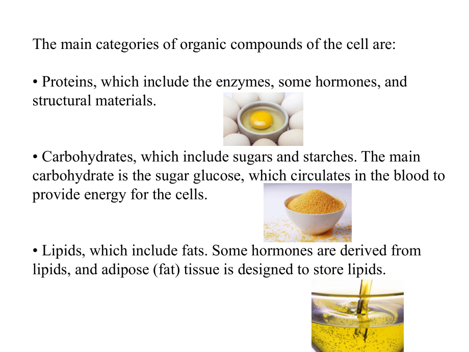 医学精品课件：14.专业英语（CELL TISSUE ORGAN）.ppt_第3页