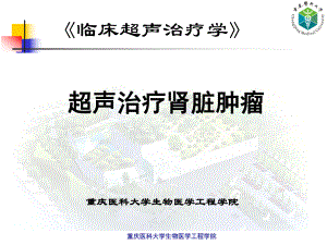 医学精品课件：06 超声治疗肾脏肿瘤.ppt