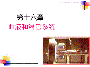 医学精品课件：03.血液与淋巴系统.PPT