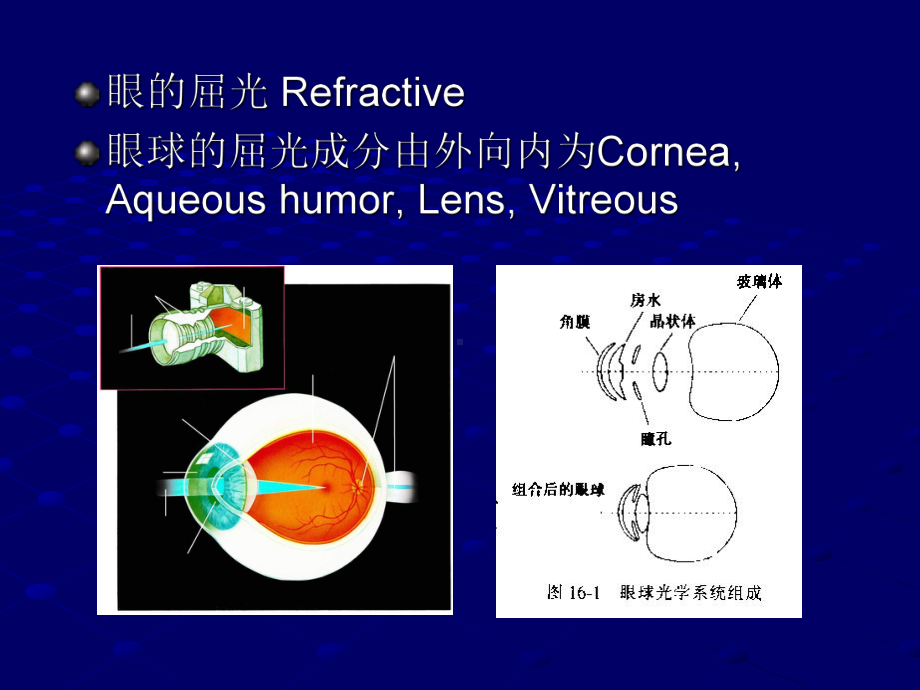 医学精品课件：09眼视光学.ppt_第2页