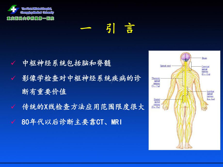 医学精品课件：11.1中枢神经系统.ppt_第2页