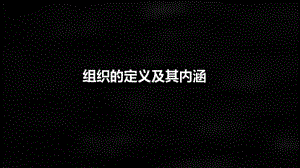 《管理学原理》课件3 理解企业.pptx