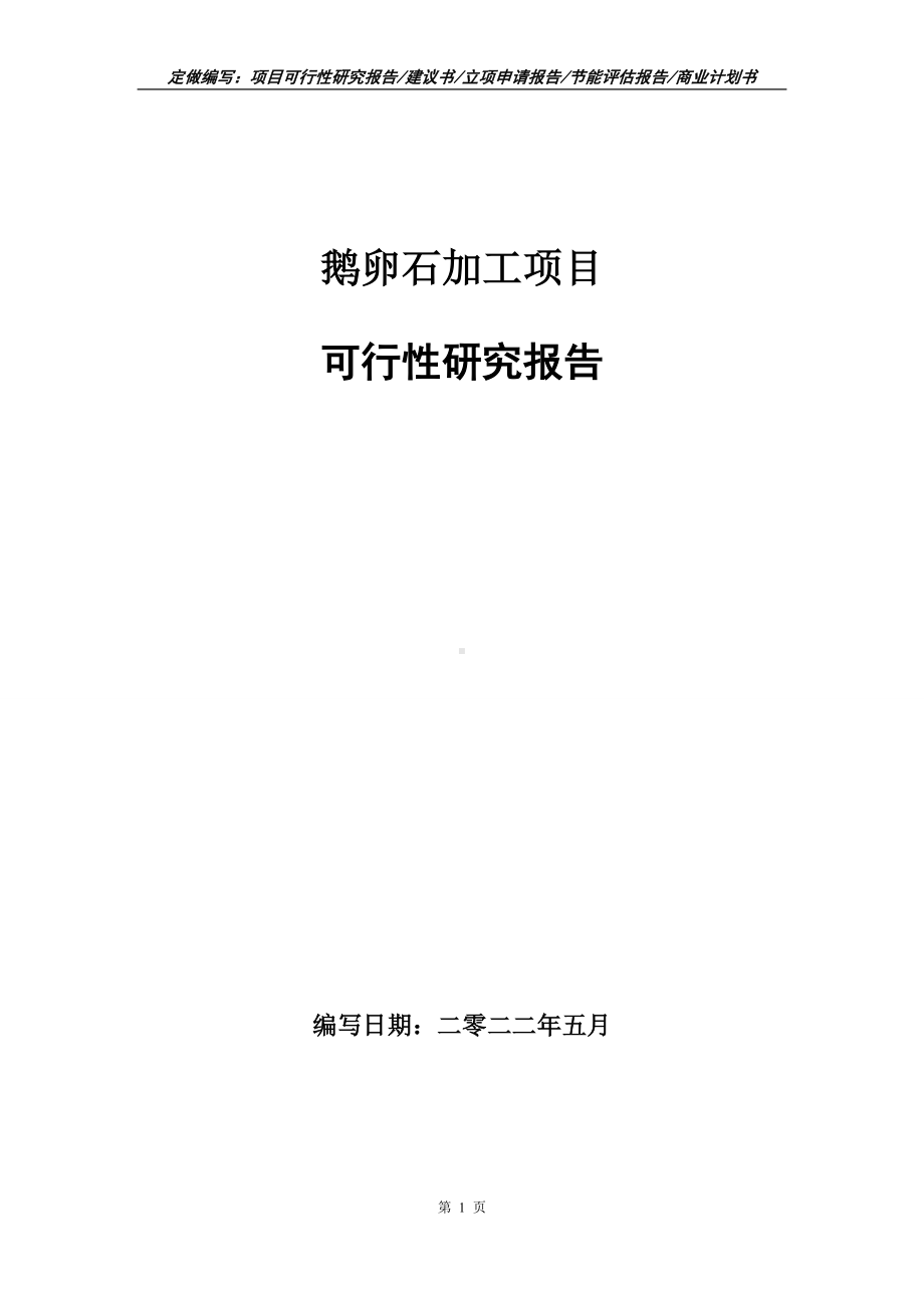 鹅卵石加工项目可行性报告（写作模板）.doc_第1页