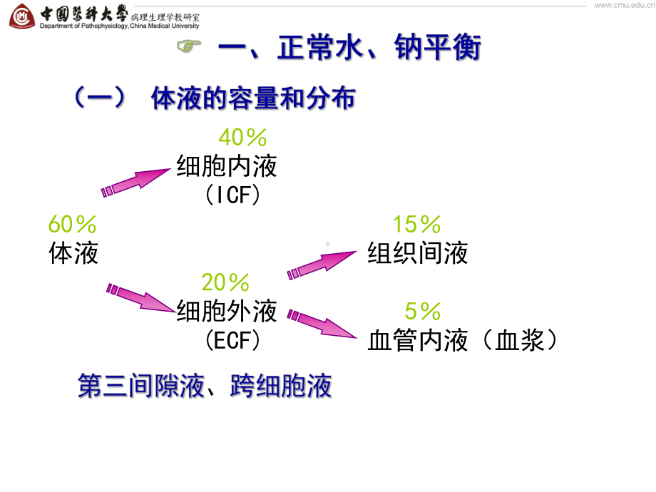 医学精品课件：03 第三章 水、电解质代谢紊乱.ppt_第3页