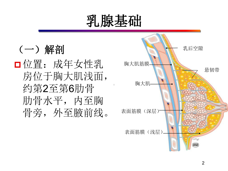 医学精品课件：03.超声治疗乳腺肿瘤.ppt_第2页