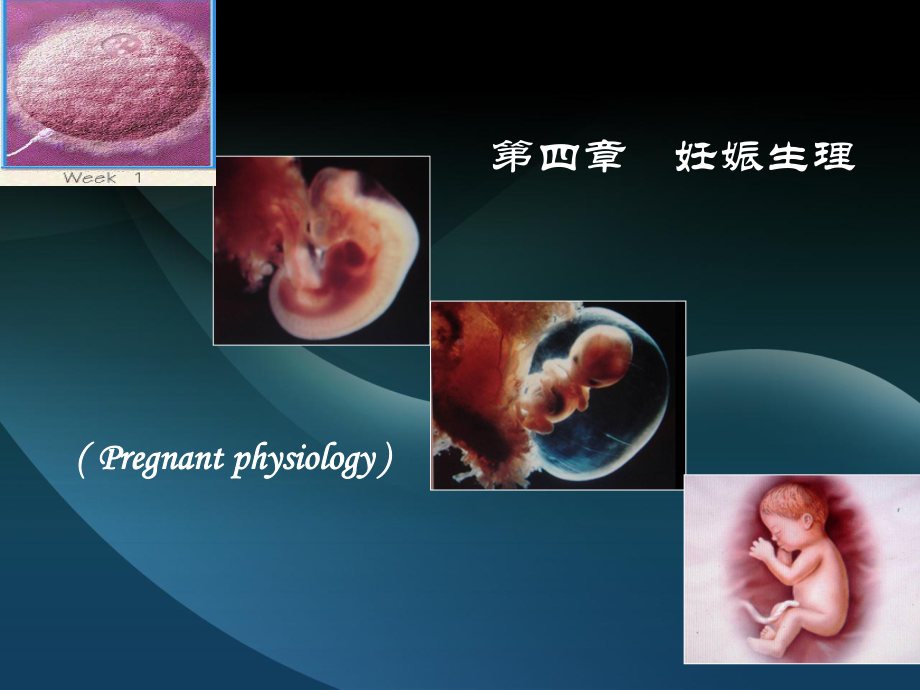 医学精品课件：04妊娠生理.ppt_第1页