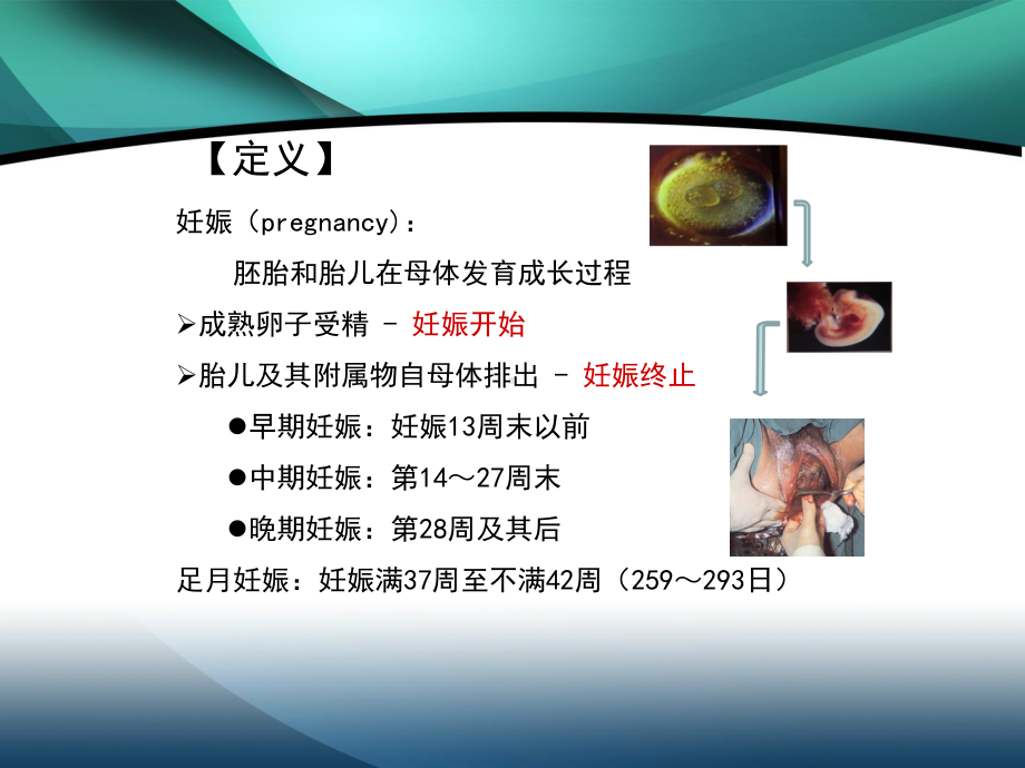 医学精品课件：04妊娠生理.ppt_第3页