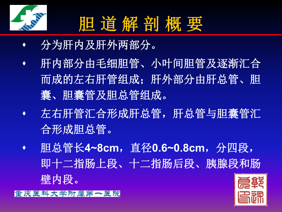 医学精品课件：13.2胆胰疾病超声诊断.pptx_第3页