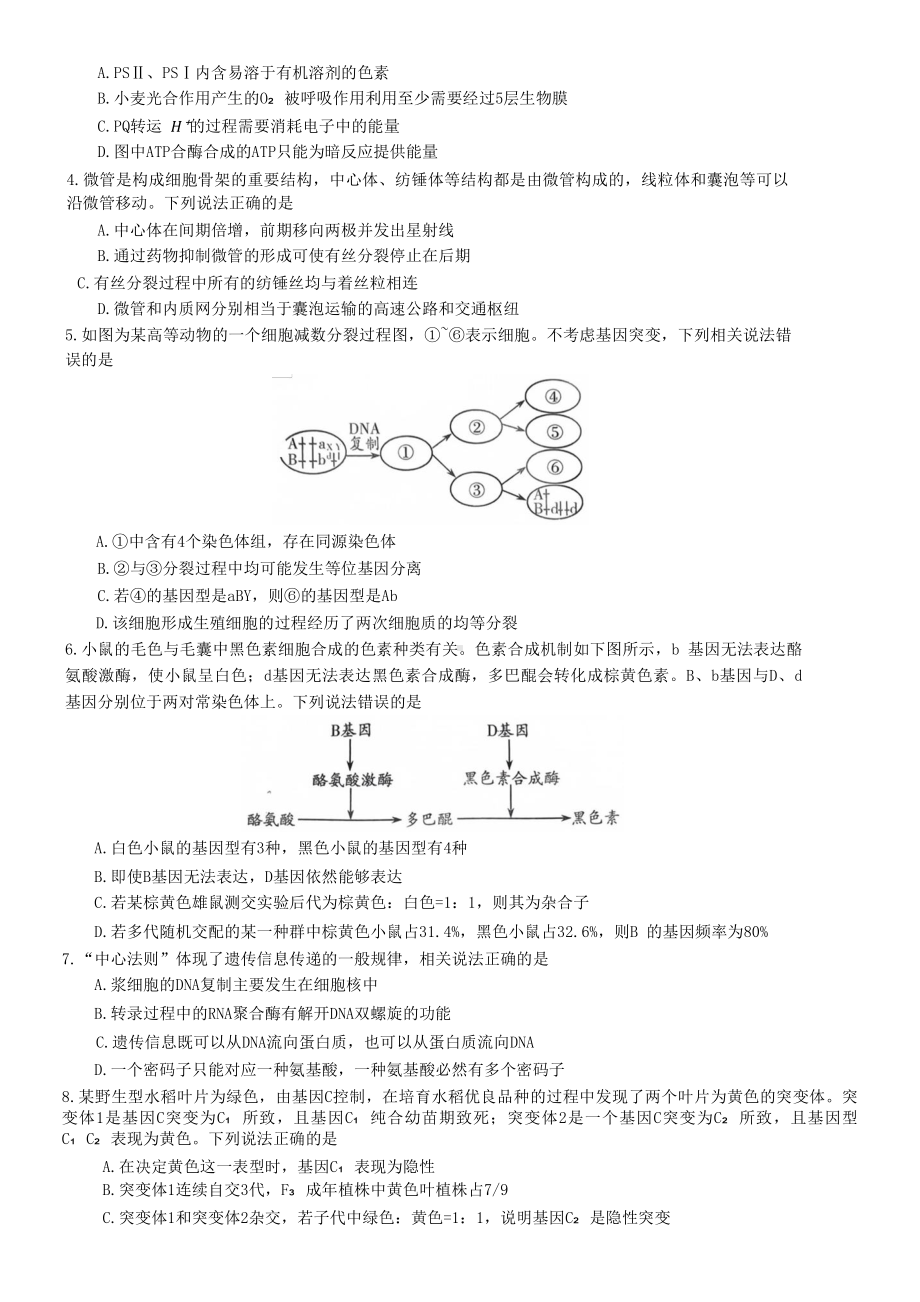 山东省潍坊市2023届高三上学期期末生物试卷+答案.pdf_第2页