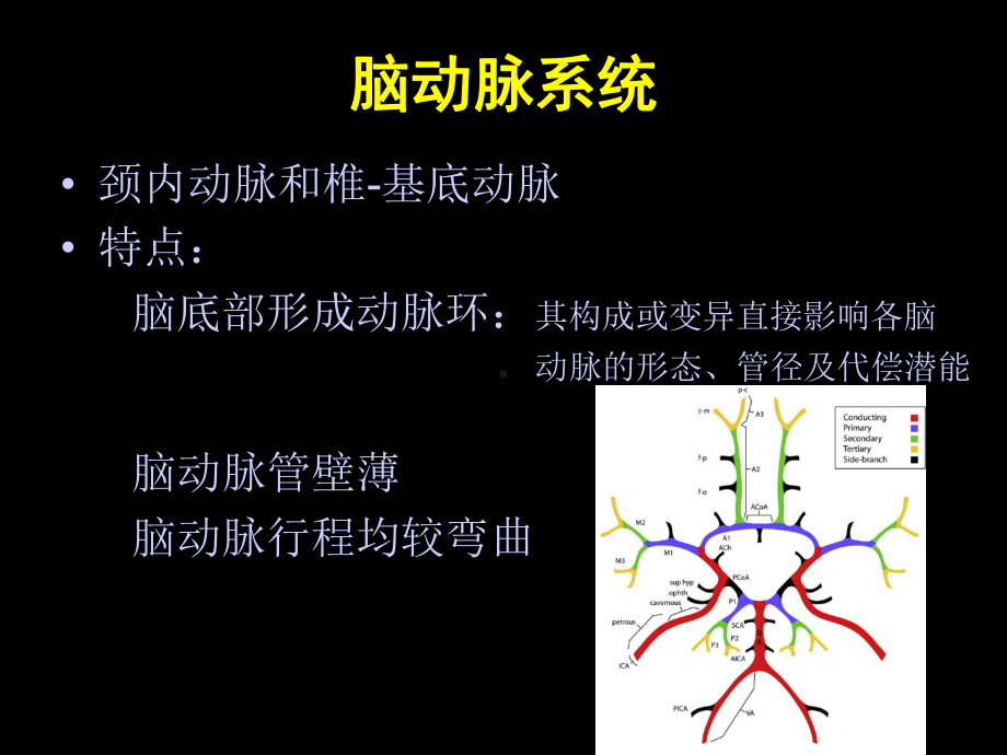 医学精品课件：MSCT诊断脑动脉正常变异.ppt_第3页