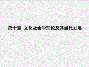 《当代社会学理论》课件第十章文化社会学理论及其当代发展.pptx