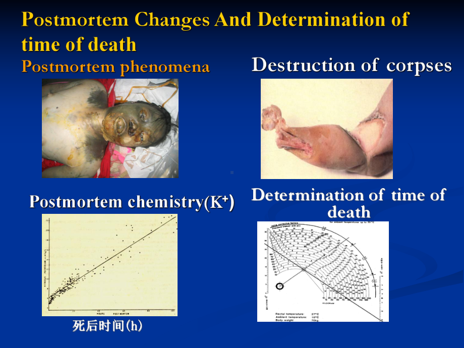 医学精品课件：postmortem changes and Determination of time of death 2017-3.pptx_第2页