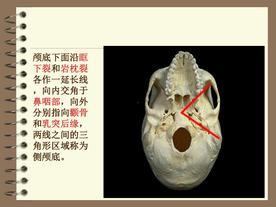 医学精品课件：侧颅底肿瘤,周围性面瘫中耳癌听神经瘤（2014）.ppt_第3页