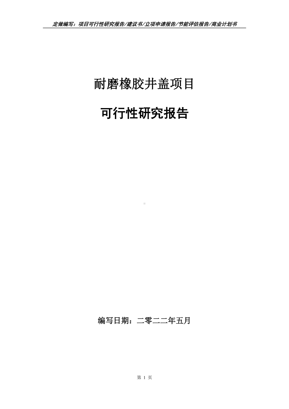 耐磨橡胶井盖项目可行性报告（写作模板）.doc_第1页