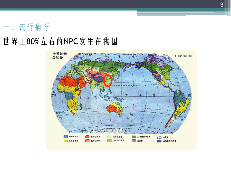 医学精品课件：2016本科鼻咽癌.ppt_第3页