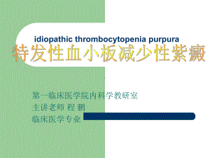 医学精品课件：ITP.ppt