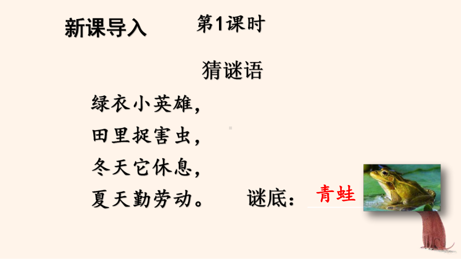 人教部编版一年级下语文《识字3 小青蛙》优质示范课课件.pptx_第2页