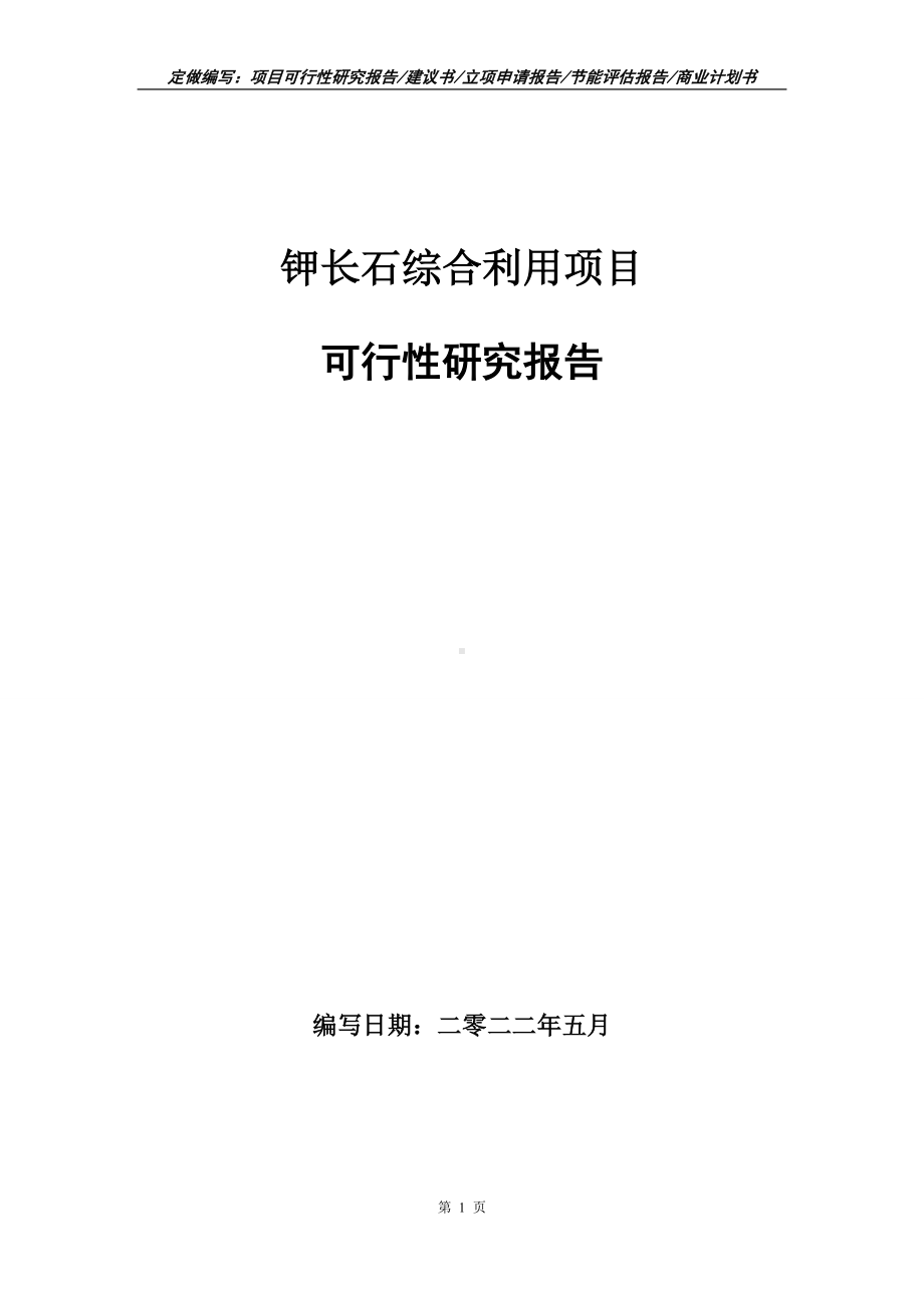 钾长石综合利用项目可行性报告（写作模板）.doc_第1页