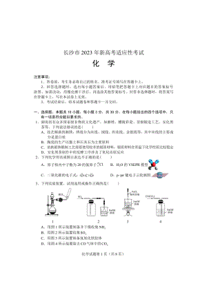 2023年长沙市新高考适应性考试化学试卷及答案.pdf