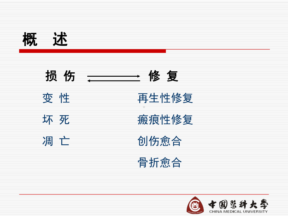 医学精品课件：第三章再生与修复.ppt_第2页