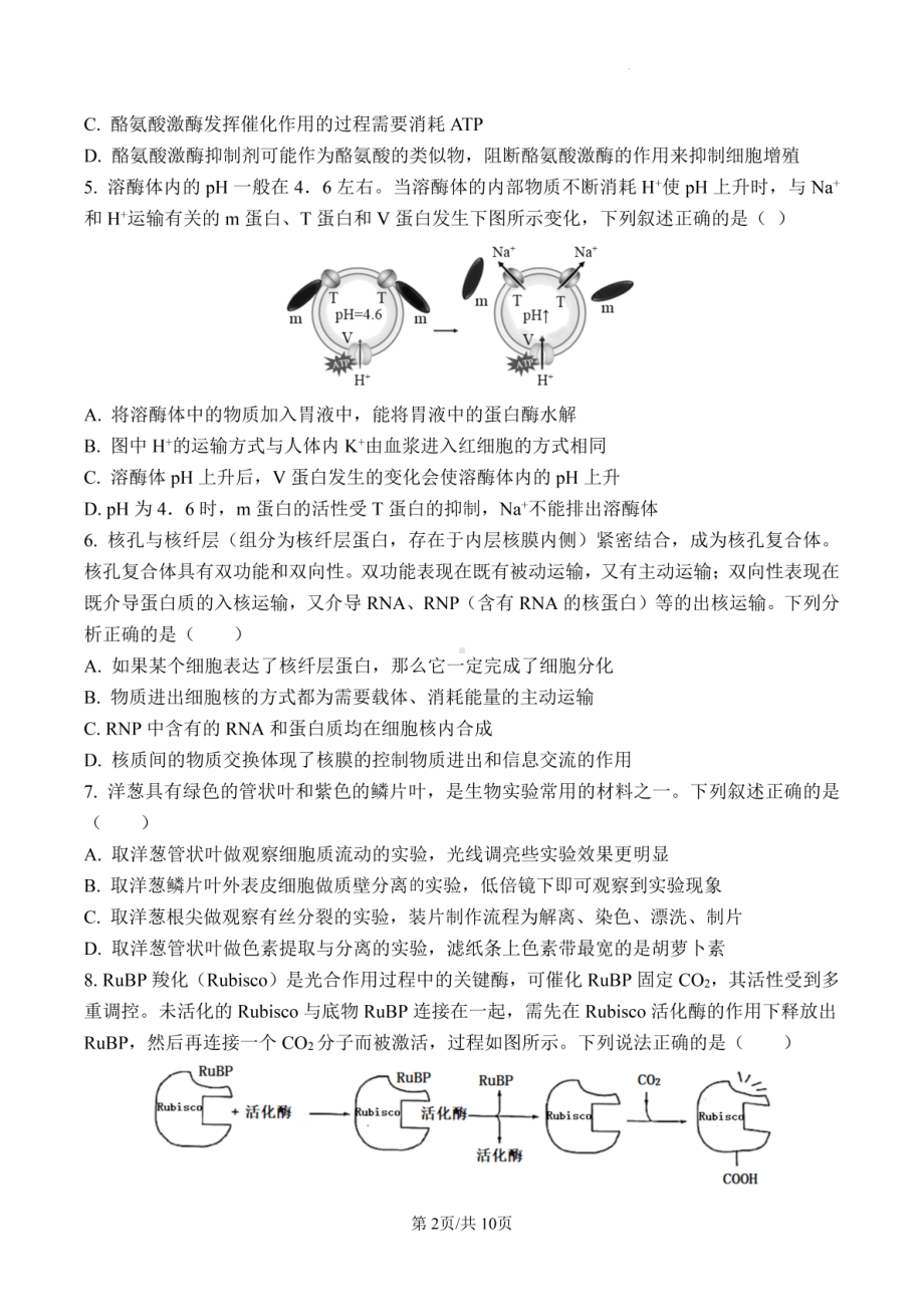 山东省泰安实验中学2022-2023学年高一上学期1月期末模拟生物试题.pdf_第2页