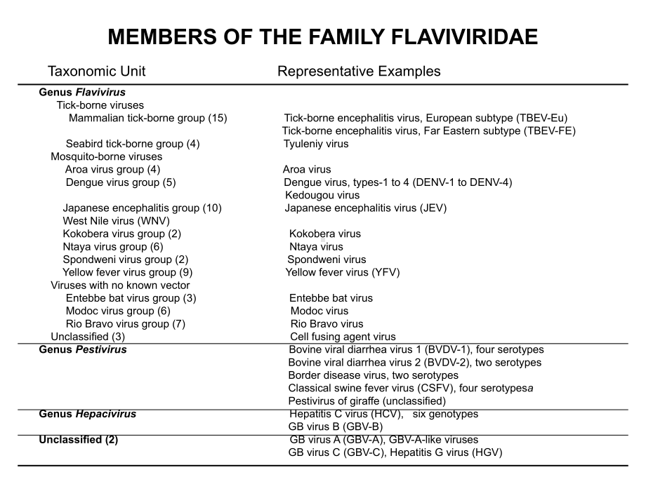 医学精品课件：HCV分子生物学-2010-12-30.ppt_第3页