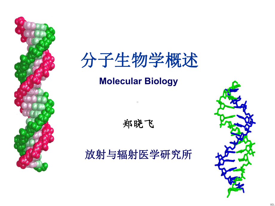 医学精品课件：2011分子生物学概述1.ppt_第1页