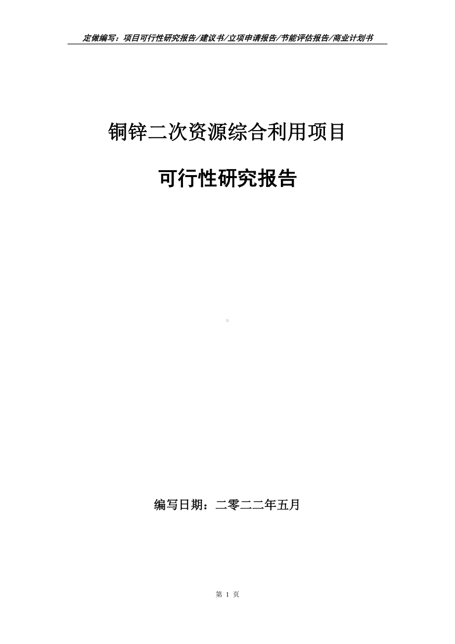 铜锌二次资源综合利用项目可行性报告（写作模板）.doc_第1页