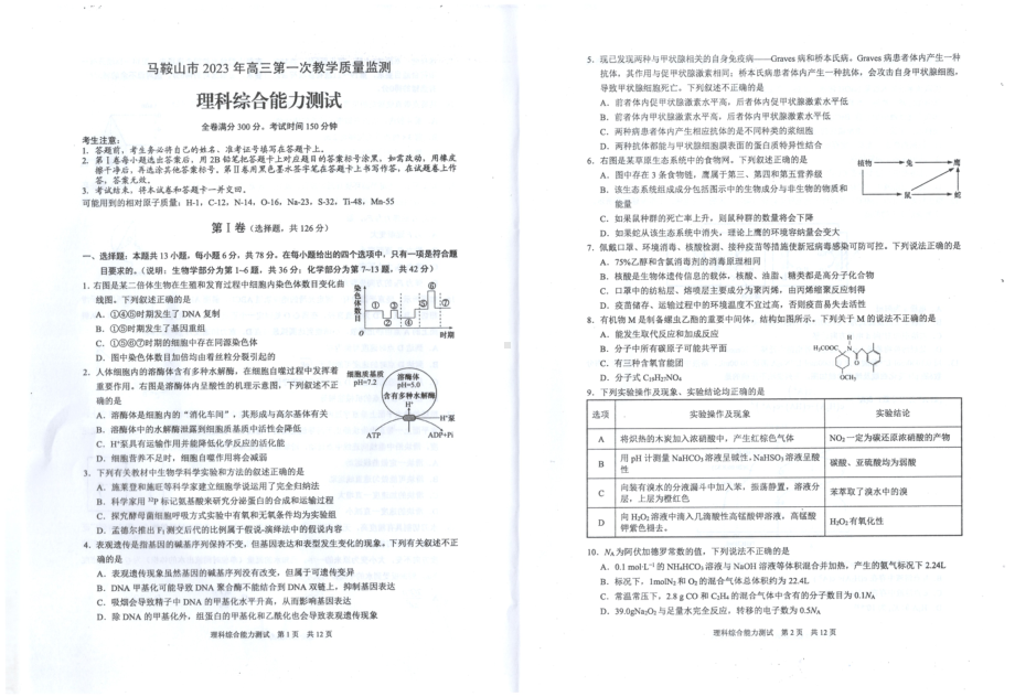 安徽省马鞍山市2023届高三第一次教学质量监测理科综合一模试卷+答案.pdf_第1页