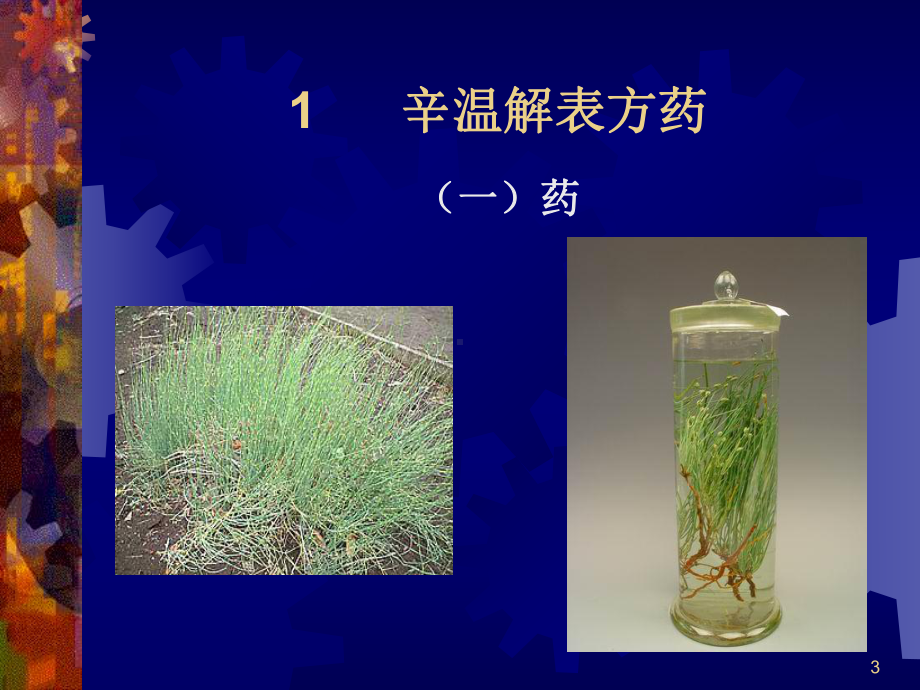 医学精品课件：解表与补益方药.ppt_第3页