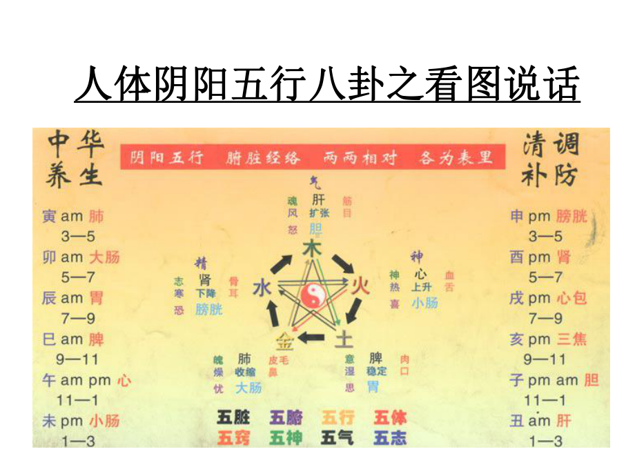 医学精品课件：人体阴阳五行八卦之看图说话-2.ppt_第1页