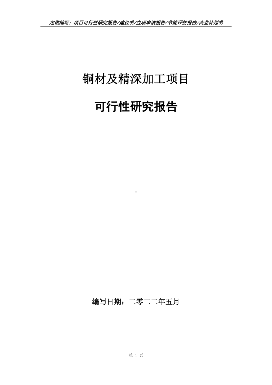 铜材及精深加工项目可行性报告（写作模板）.doc_第1页