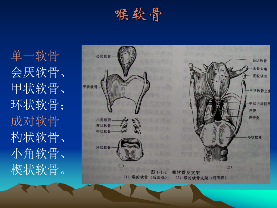 医学精品课件：喉癌的CT、MRI诊断.ppt_第3页