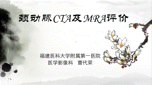 医学精品课件：颈动脉CTA及MRA评价.ppt