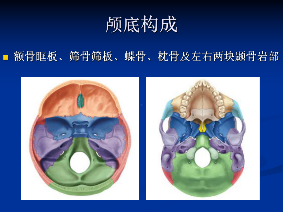 医学精品课件：颅底影像解剖.ppt_第3页