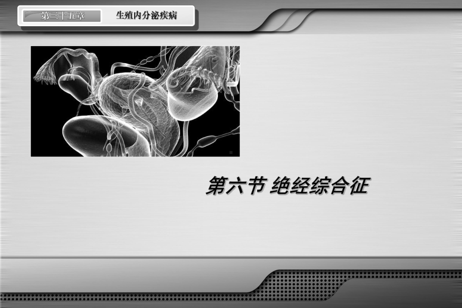 医学精品课件：绝经综合征2012.ppt_第1页