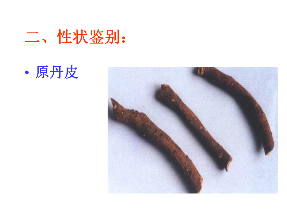 医学精品课件：牡丹.ppt_第3页