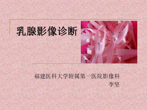 医学精品课件：乳腺影像诊断2.ppt