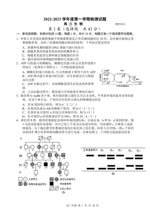 江苏省扬州2022-2023高三上学期期末生物试卷+答案.pdf