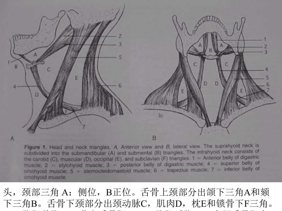 医学精品课件：颈部病变的CT检查.ppt_第3页