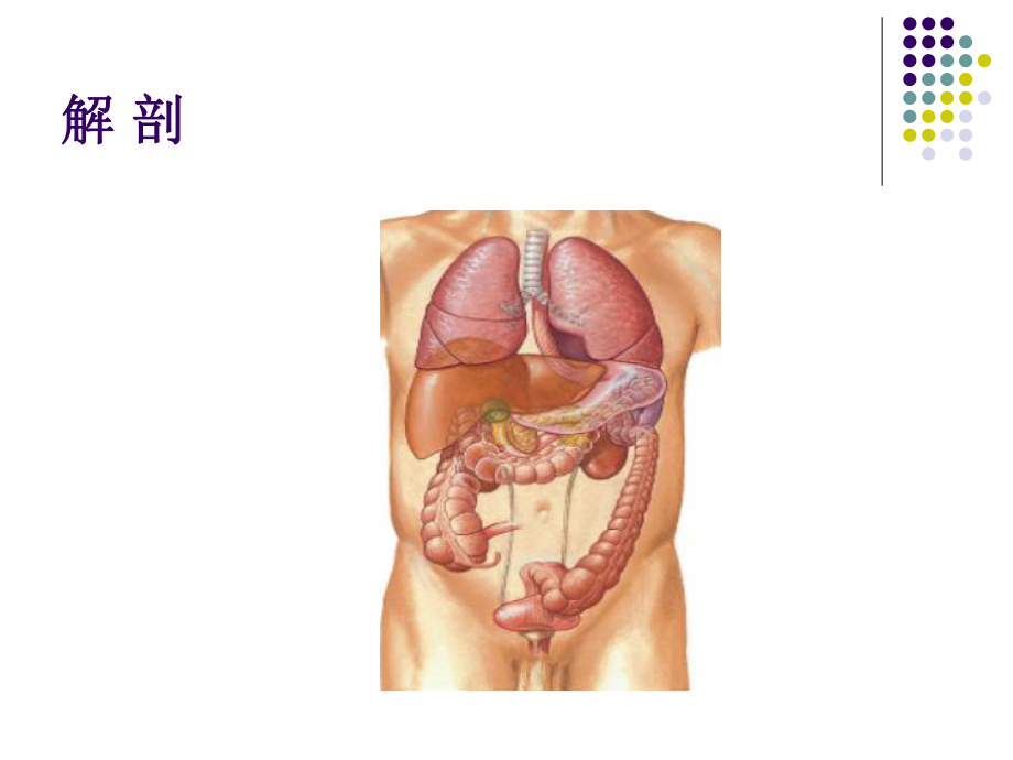 医学精品课件：结肠癌.ppt_第2页