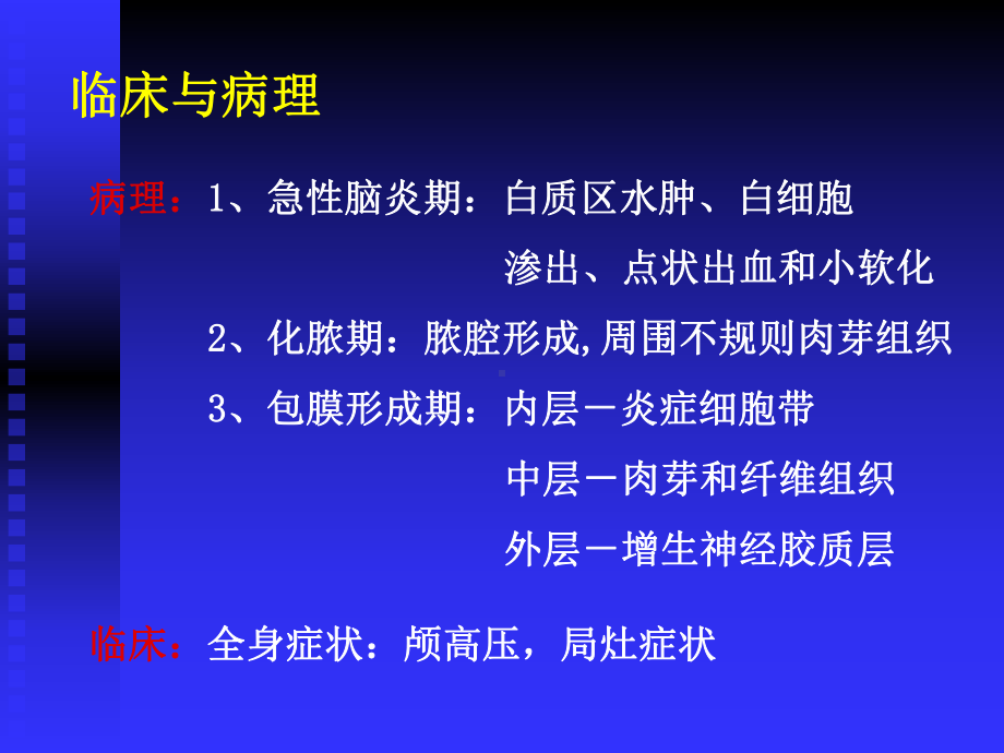 医学精品课件：颅内感染疾病.ppt_第3页